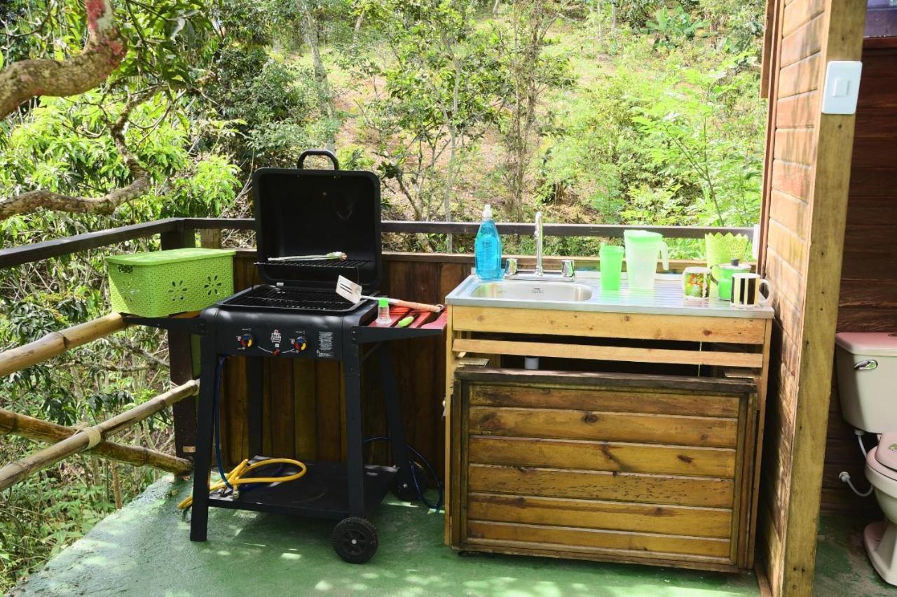 Camping Glamping Dimensión Ecológica